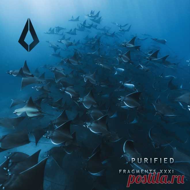 VA - Purified Fragments XXXI PF0228BP » MinimalFreaks.co