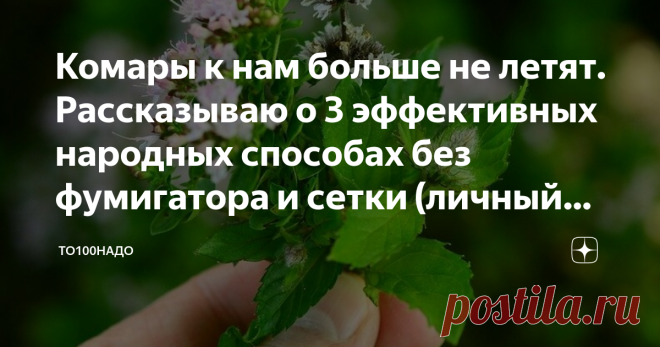 Комары к нам больше не летят. Рассказываю о 3 эффективных народных способах без фумигатора и сетки (личный опыт). Фумигатор теперь не покупаем, диклофосом не пользуемся, ленты липкие от мух не вешаем, сетки нет...