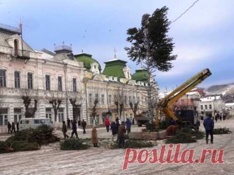 Елку в Вольске уже поставили