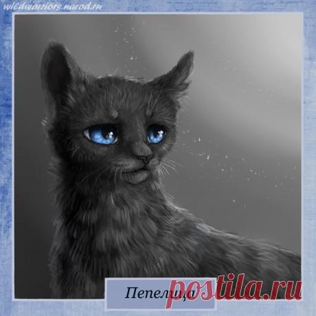 Cinderpelt. Warriors by Romashik-arts on DeviantArt