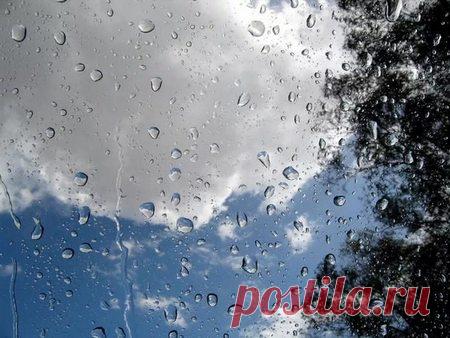 По стеклу стекают слёзы 
По стеклу стекают слёзы.
Это дождь от счастья плачет.
Не сбылись былые грёзы.
Не пришла ко мне удача.
 
Просто каплями отмыло
От тоски и грусти душу.
Просто радостно и мило
Барабанит дождь по лужам.
…