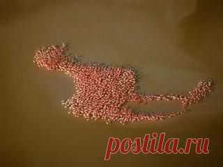 Вы не поверите, но эти фотографии — Реальность