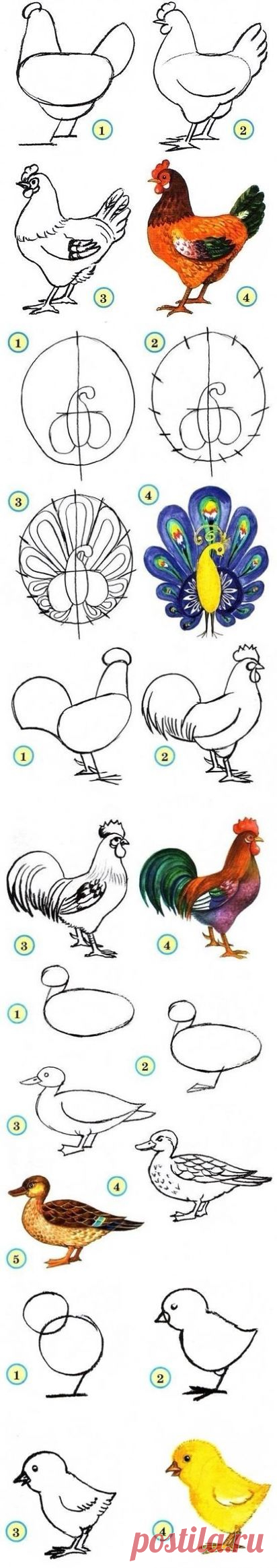 (76) Одноклассники