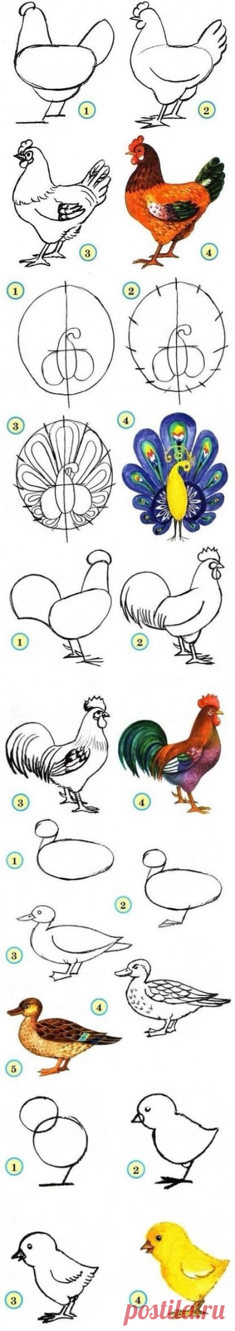 (76) Одноклассники