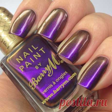 Barry M _ Persian from the Aquarium collection