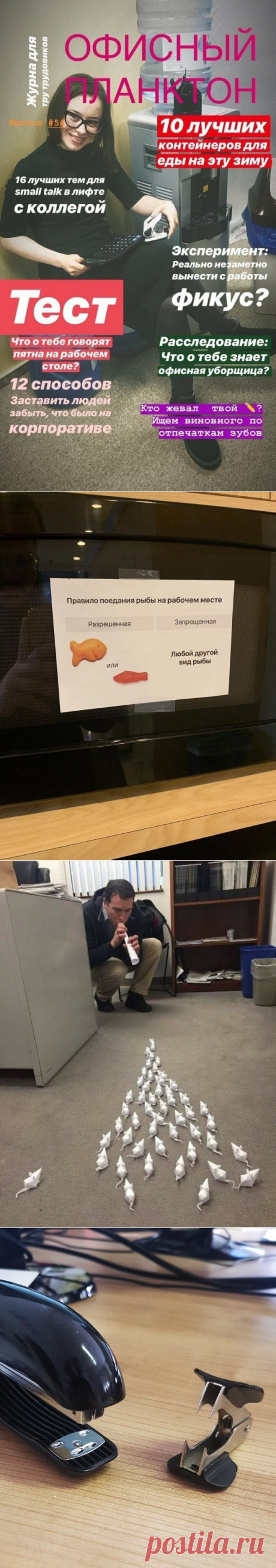 Убойные приколы от офисных работников, которые пригодятся в жизни