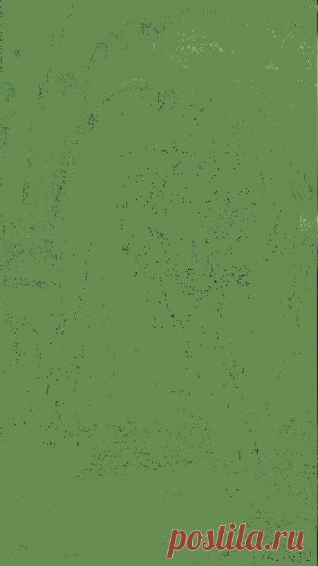 Чёрная пантера - Разные животные