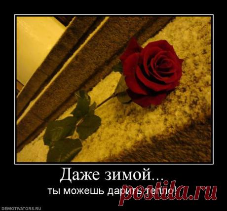 инфографика ЛЮБОВЬ И ОТНОШЕНИЯ: 3 тыс изображений найдено в Яндекс.Картинках