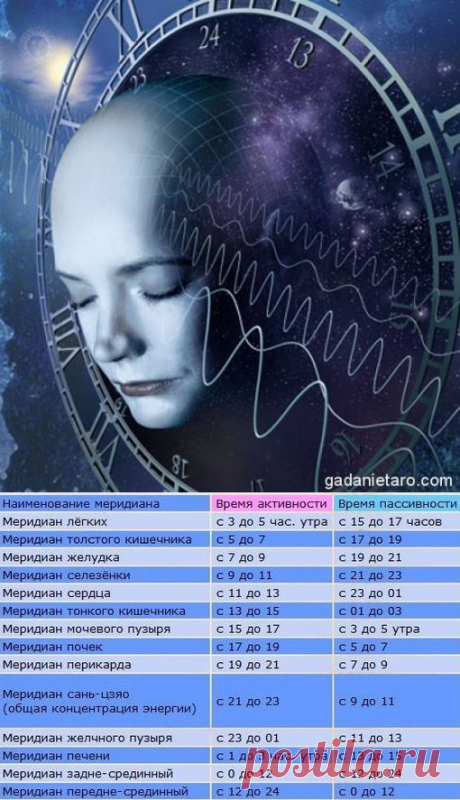 СУТОЧНАЯ АКТИВНОСТЬ ВНУТРЕННИХ ОРГАНОВ ЧЕЛОВЕКА. | Познавательный сайт ,,1000 мелочей&quot;
