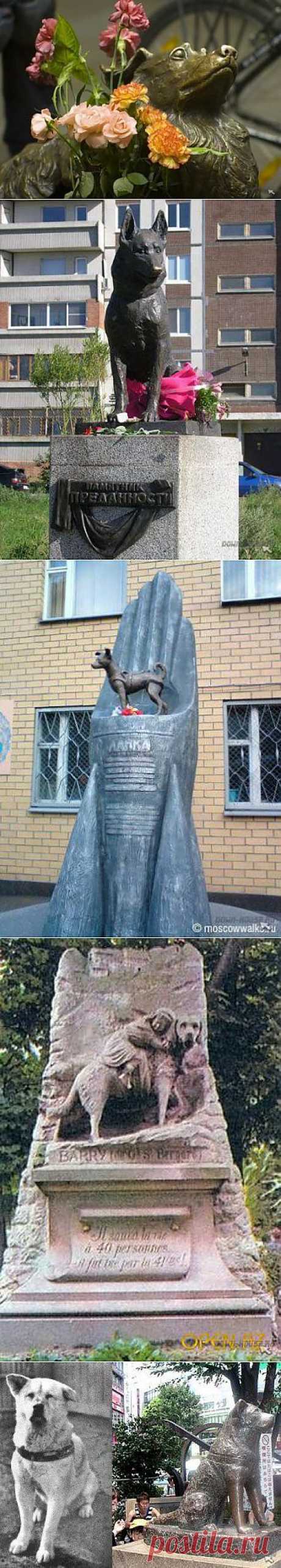 Памятники собакам