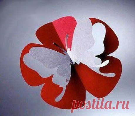 (3) Одноклассники