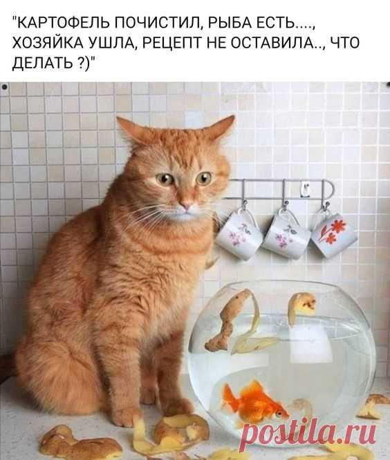 гг