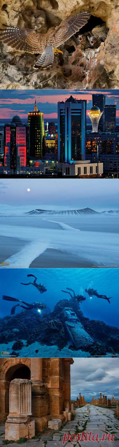 » Лучшие фотографии National Geographic за октябрь, 2012 Это интересно!