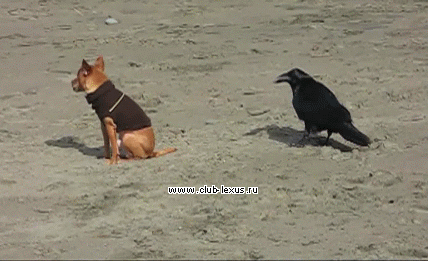 Мой Мир@Mail.Ru