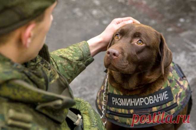 Больше, чем фото