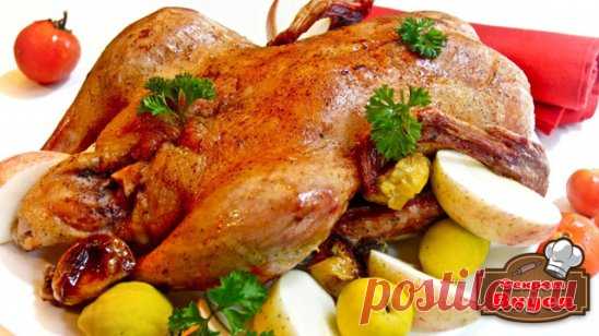 Как вкусно приготовить утку: советы и рекомендации