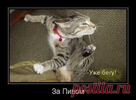 и