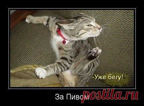 и