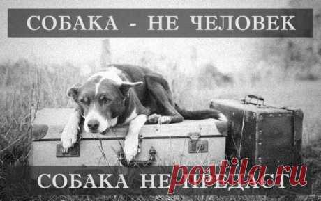 Анастасия-Александровна Разумовская-Волкова