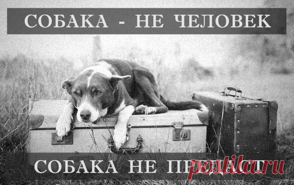 Анастасия-Александровна Разумовская-Волкова