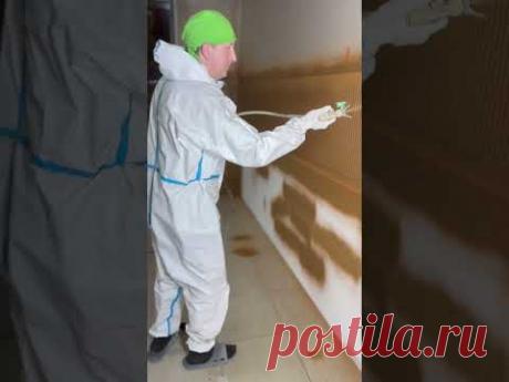 28 декабря 2024 г.