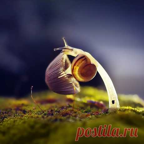 «Грибок на пробу». Автор фото – Полина Серова.