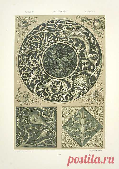 Anton Seder - by Muravka