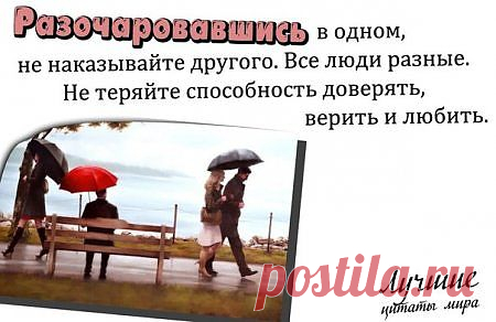 Цитаты Мира.