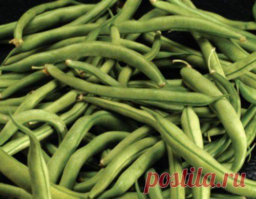 Заготовки на зиму из стручковой фасоли / Простые рецепты