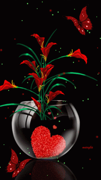 fee5a91a937b2a5e161f44f33e7bed93.gif (346×615)