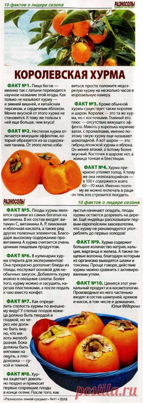 10 фактов о хурме