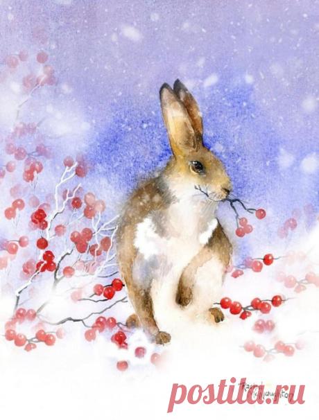 Нежные и трогательные акварели Rachel McNaughton