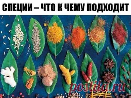 СПЕЦИИ – ЧТО К ЧЕМУ ПОДХОДИТ
ДЛЯ МЯСА: красный, черный, душистый перец или гвоздика, майоран, тимьян, тмин, куркума, лук, орегано.
ДЛЯ ПТИЦЫ: тимьян, майоран, розмарин, шалфей, чабрец, базилик.
ДЛЯ РЫБЫ: лавровый лист, белый перец, имбирь, душистый перец, лук, кориандр, перец чили, горчица, укроп, тимьян.
ДЛЯ ГРИЛЯ: красный перец, душистый перец, кардамон, тимьян, майоран, мускатный орех и мускатный цвет, тмин, имбирь, перец чили.
ДЛЯ ДИЧИ: тимьян, душица обыкновенная, душистый перец, красн