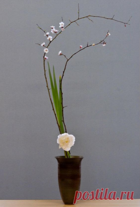 Pinterest • The world’s catalog of ideas