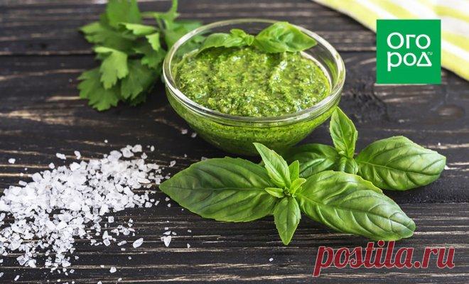 Зеленые соусы на любой вкус: к мясу, птице, рыбе | Статьи (Огород.ru)