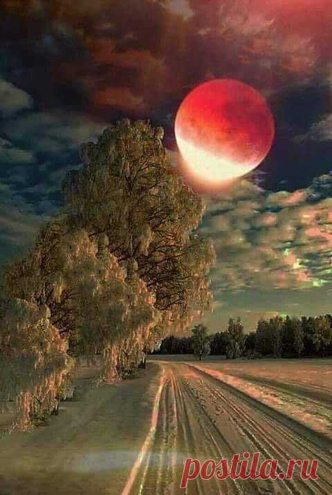 Ձմեռային հեքիաթ․․․🎄❄️🏚
Բնության գեղեցկությունը կատարյալ է♥✨Բարի,գիշեր---գեղեցիկ, սպիտակ և մաքուր ձմռան նման քաղցր երազներ ⭐🌛