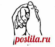 1. МУДРА "РАКОВИНА"

Мудра "Раковина" - "шанкха" - атрибут бога Шивы, имя нагазмея, живущего в подземном царстве. 

Показания:   все заболевания горла, гортани, охриплость голоса. При выполнении этой мудры усиливается голос, поэтому особенно рекомендуем певцам, артистам, учителям, ораторам. 

Методика исполнения: две соединенные руки изображают раковину. Четыре пальца правой руки обнимают большой палец левой руки. Большой палец правой руки прикасается к подуше