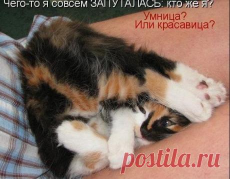 Новости