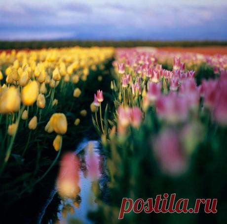 Мысли, которые мы выбираем – подобны краскам, которыми мы пишем на холсте жизни. Думайте красиво.