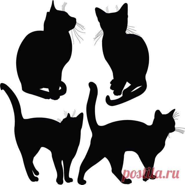 Трафарет кошки, кота. Шаблоны | Кругозор