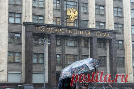 В Госдуме порассуждали о доносах за чайлдфри