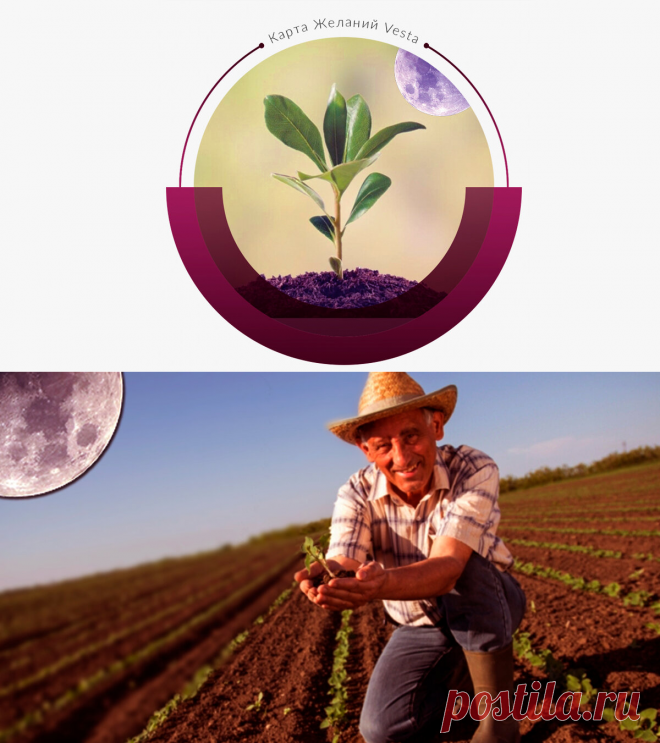 Растущая луна. Куда она "растет" и почему агрономы торопятся сажать картофель. | Карта Желаний | Яндекс Дзен