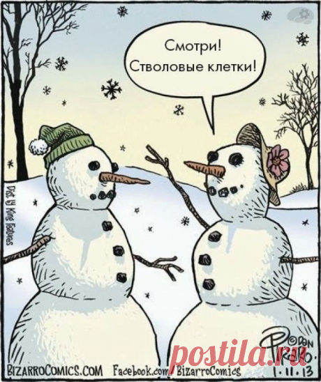 О чем шутят учёные – Фитнес для мозга