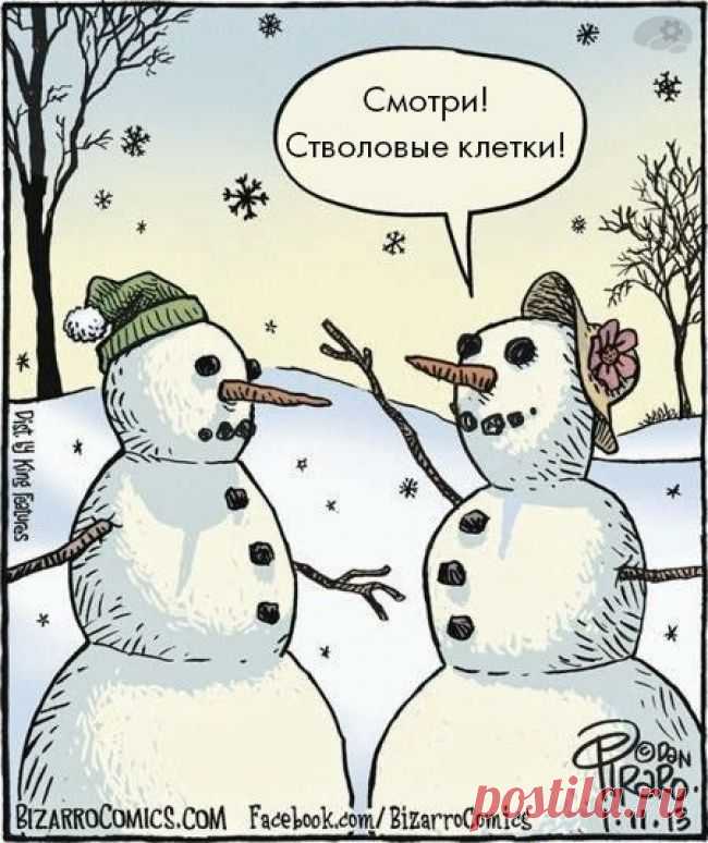 О чем шутят учёные – Фитнес для мозга