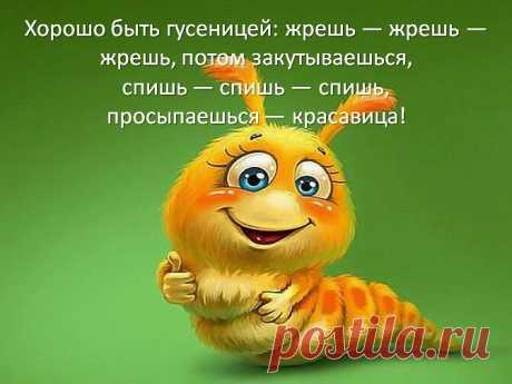 &quot;Точь в Точь&quot; ..и без грима . 1-й канал отдыхает ))