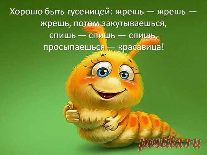 "Точь в Точь" ..и без грима . 1-й канал отдыхает ))