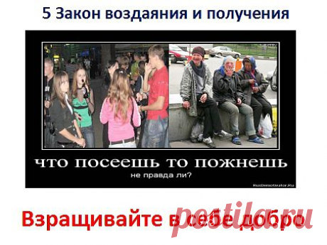 5. Закон воздаяния и получения. Процветания заключается в принципе обмена. Одно от даёшь, другое получаешь приумноженным. Это касается не только в отношениях любви, но и в  атмосфере окружающих людей. Чем больше делаешь положительного во круг, тем больше приходит обратно приумноженным. То как вы поступаете, например в молодости будете пить, есть много шансов спиться в дальнейшем.