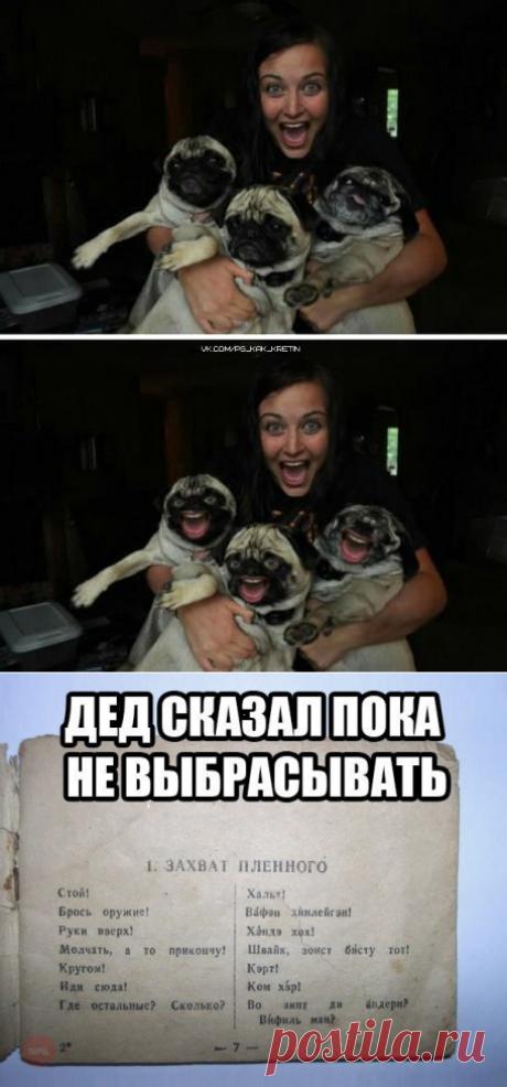 Диалоги