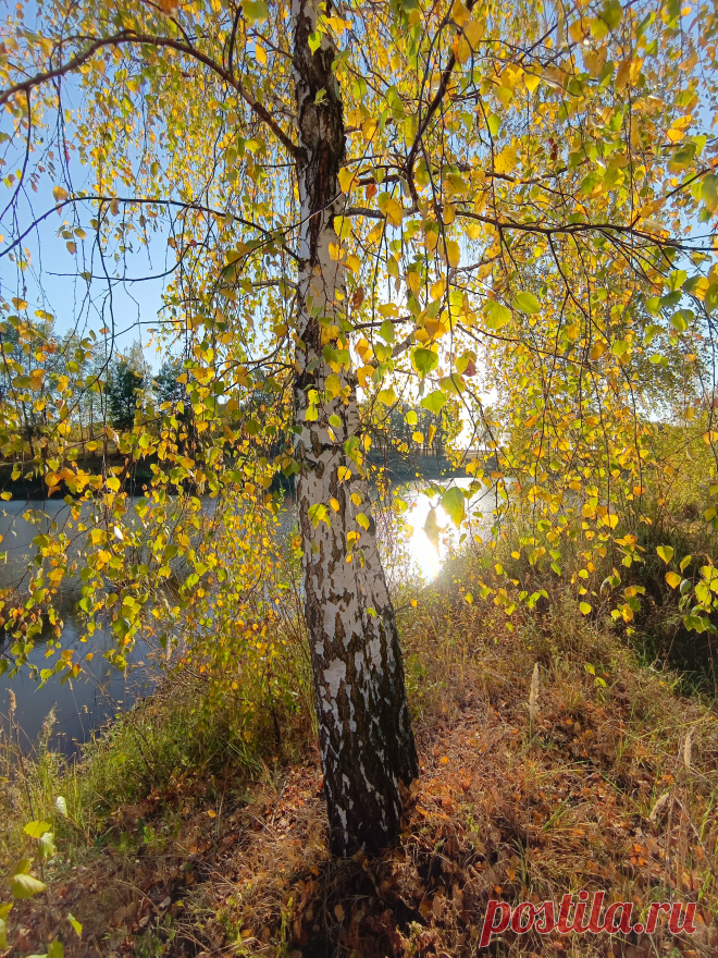 Фотографии жанра - Пейзаж. Профессиональные фото-сообщество 35PHOTO