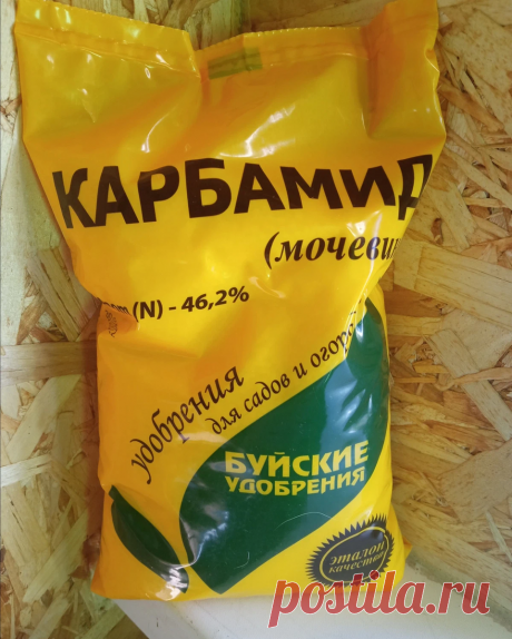 Мочевина как фунгицид и пестицид | Цветочная няша | Дзен